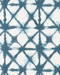 Odt Shibori Net Deep River Lux by  Premier Prints 