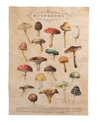 Paper Wall Tapestry Mushrooms 26  X 36  Set 2 by   