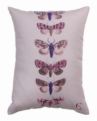 Butterfly Toile 13x18 Pillow by   