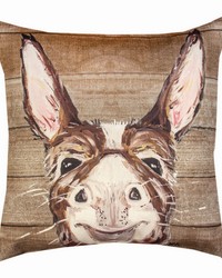 Donkey 18 Climaweave Pillow by   