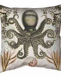 Antiquarian Octopus 18 Climaweave Pillow by   