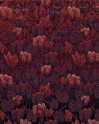 Red Tulip Wall Mural by   