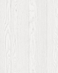 Timber White Peel & Stick Wallpaper by  Brewster Wallcovering 