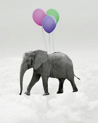 Elephant And Balloons Wall Mural by   