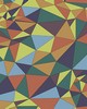 Wall Pops Multicolored Polygons Wall Mural Multicolor