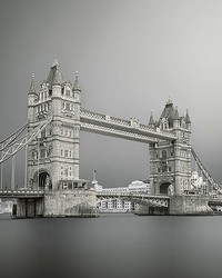 Tower Bridge London Wall Mural by   