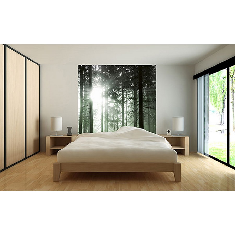 Sun Rays Wall Mural Wallpaper