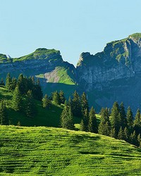 Swiss Mountains Wall Mural by   