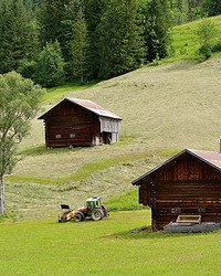 Swiss Farmhouse Wall Mural by   