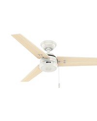 Hunter 44 inch Cassius Fresh White Damp Rated Ceiling Fan and Pull Chain by   