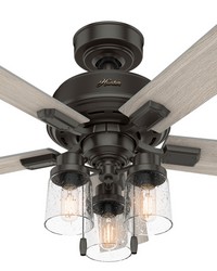 Hunter 44 inch Hartland Noble Bronze Ceiling Fan with LED Light Kit and Pull Chain by   