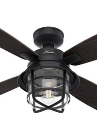 Hunter 52 inch Port Royale Natural Black Iron Damp Rated Ceiling Fan with LED Light Kit and Handheld by   