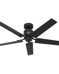 Hunter 52 inch Windbound Matte Black Damp Rated Ceiling Fan and Pull Chain by   