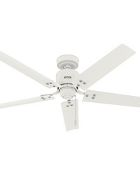 Hunter 52 inch Windbound Matte White Damp Rated Ceiling Fan and Pull Chain by   