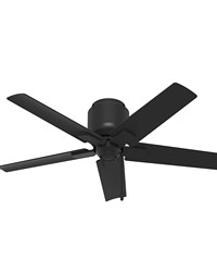 Hunter 44 inch Terrace Cove Matte Black Low Profile Damp Rated Ceiling Fan and Pull Chain by   