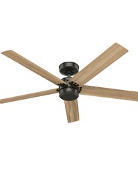 Hunter 52 inch Burton Noble Bronze Damp Rated Ceiling Fan and Wall Control by   