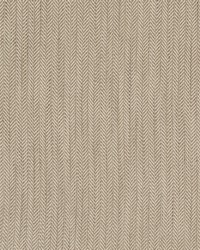 Argyle F0582 F0582/05 CAC Taupe by  Clarke and Clarke 