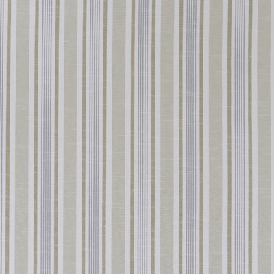 Clarke and Clarke MAPPLETON F1310/06 CAC MINERAL in CLARKE & CLARKE BEMPTON Grey Multipurpose -  Blend Striped   Fabric