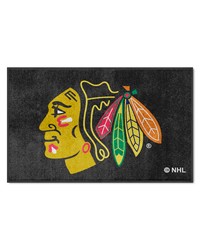 Chicago Blackhawks 4x6 Logo Mat Landscape by   