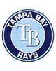 Fan Mats  LLC Tampa Bay Rays Roundel Mat Navy