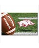 Fan Mats  LLC Arkansas Razorbacks Scraper Mat Photo