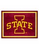 Fan Mats  LLC Iowa State Cyclones 8x10 Rug Red