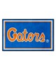 Fan Mats  LLC Florida Gators 4x6 Rug Blue