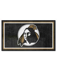 UNC Pembroke Braves 3x5 Rug by   