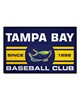 Fan Mats  LLC Tampa Bay Rays Starter Mat Uniform Navy