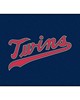 Fan Mats  LLC Minnesota Twins Tailgater Mat Navy