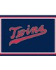 Fan Mats  LLC Minnesota Twins 5x8 Rug Navy