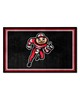 Fan Mats  LLC Ohio State Buckeyes 4x6 Rug Black