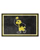 Fan Mats  LLC Iowa Hawkeyes 4x6 Rug Black