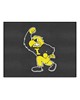 Fan Mats  LLC Iowa Hawkeyes All-Star Mat Black