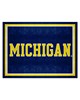 Fan Mats  LLC Michigan Wolverines 8x10 Rug Blue