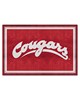 Fan Mats  LLC Washington State Cougars 5x8 Rug Red