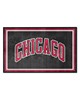 Fan Mats  LLC Chicago Bulls 4x6 Rug Black