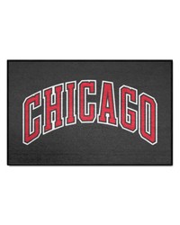 Chicago Bulls Starter Mat by   