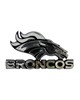 Fan Mats  LLC Denver Broncos Molded Chrome Emblem Chrome