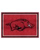 Fan Mats  LLC Arkansas Razorbacks 5x8 Rug Maroon