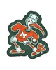 Fan Mats  LLC Miami Hurricanes Mascot Mat Green