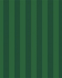 Courtside Stripe Green by   