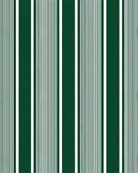 Super Yacht Stripe Green by   