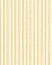 NEWPORT STRIPE MAIZE by  Schumacher Wallpaper 