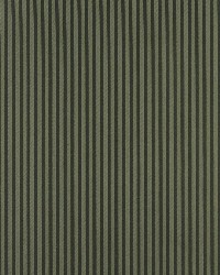 4366 Alpine Stripe by  Charlotte Fabrics 