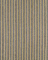 4369 Chambray Stripe by  Charlotte Fabrics 