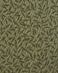 5202 Fern by  Charlotte Fabrics 