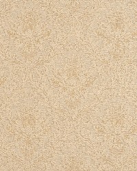 5543 Natural/Cameo by  Charlotte Fabrics 