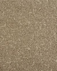 5575 Sand/Paisley by  Charlotte Fabrics 