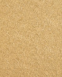 5577 Gold/Paisley by  Charlotte Fabrics 